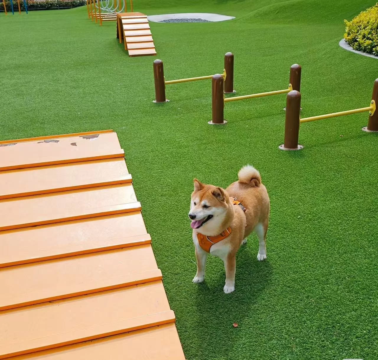 카펫 잔디
